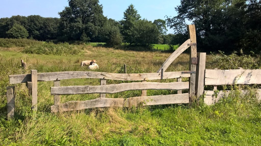 twente en achterhoek natuurgebieden
